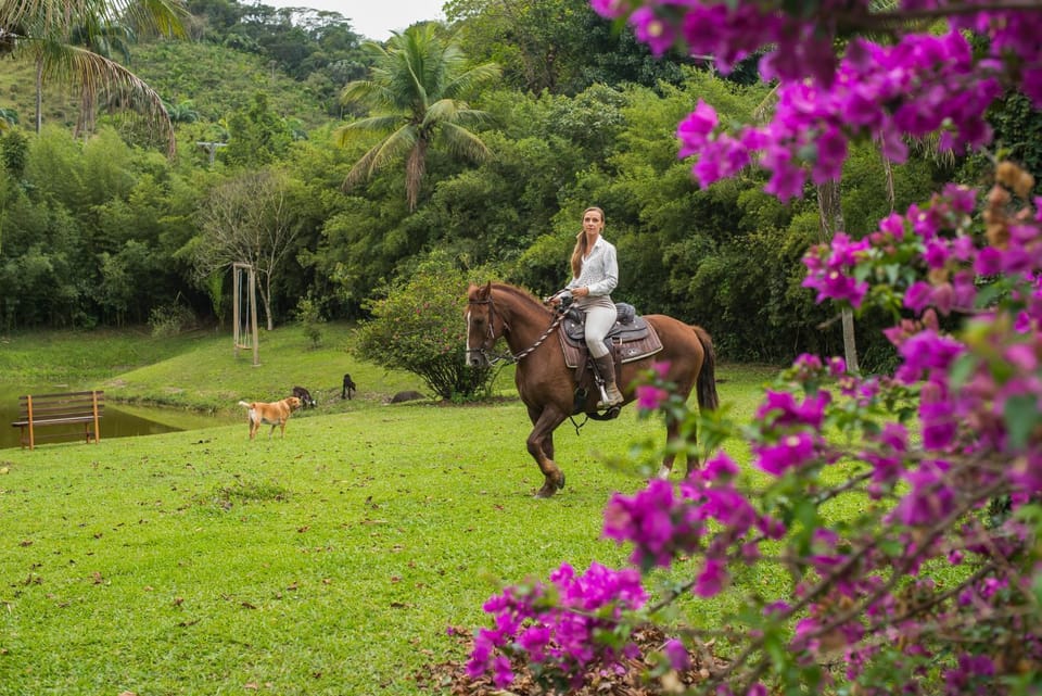Guest House Fazenda do Francês & Culinária Francesa Bed and Breakfast in Cachoeiras de Macacu