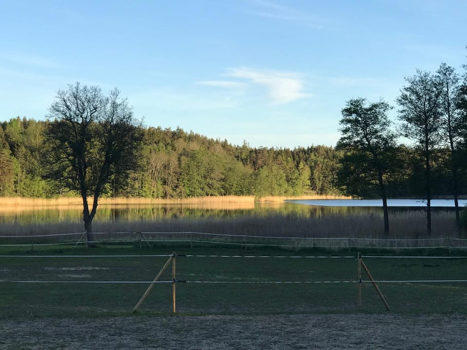 Nice holiday house at horse farm with lake and sauna House in Stockholm County