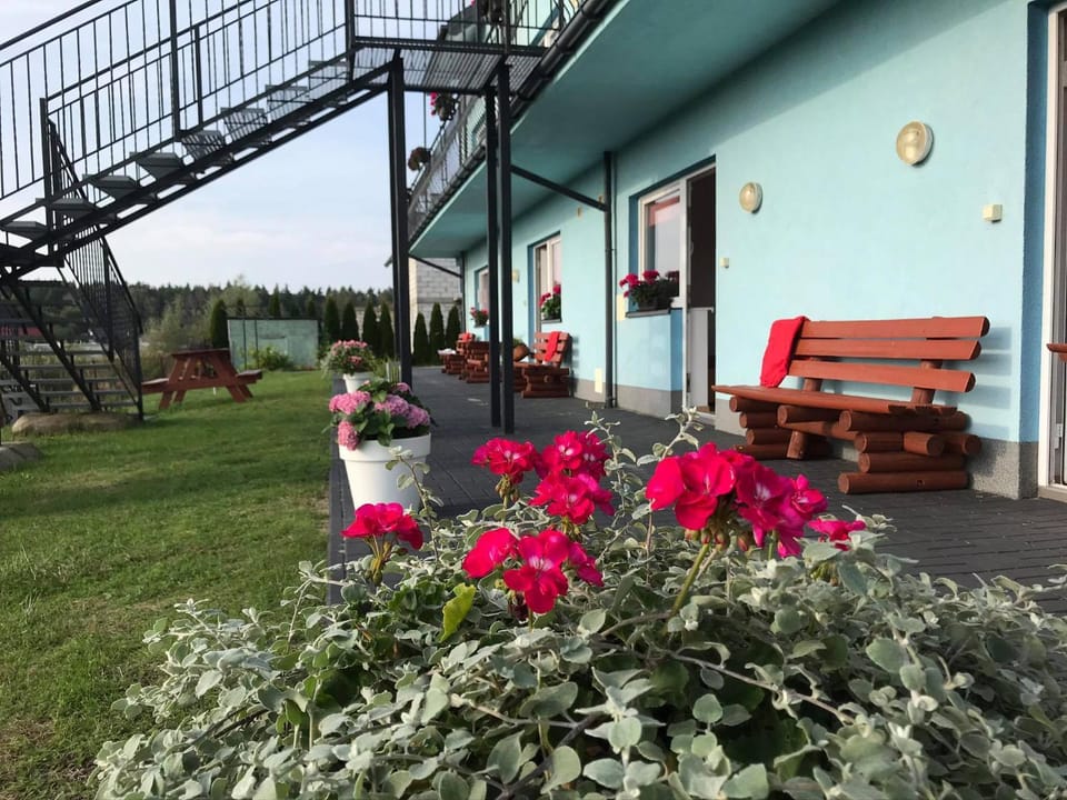 Patio, Garden