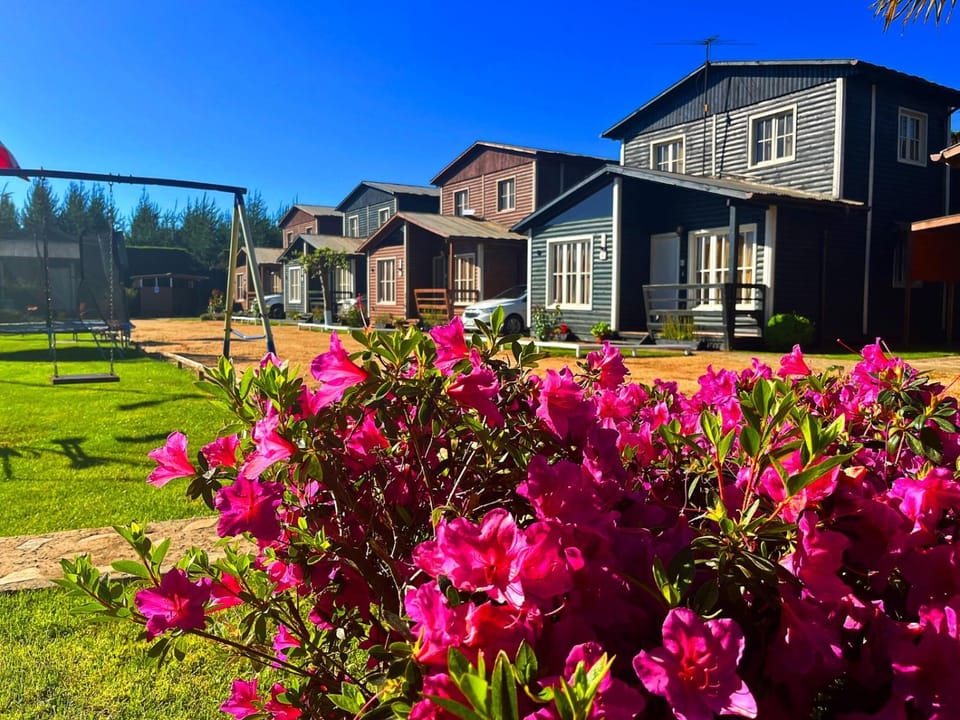 Property building, Spring, Day, Garden, Garden view