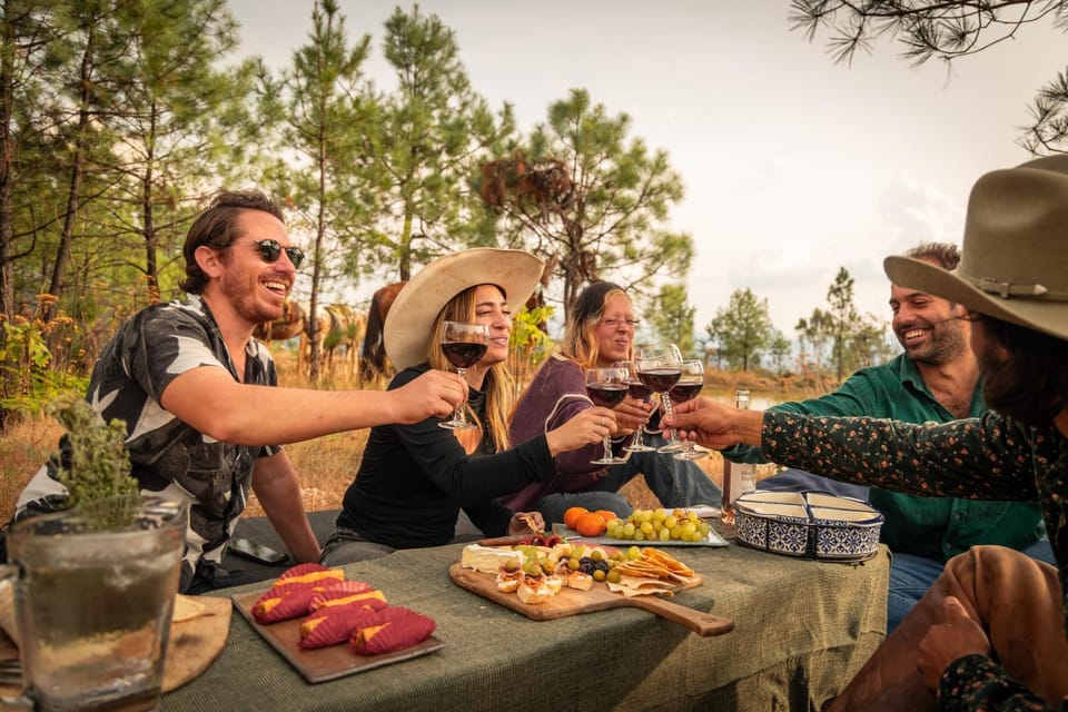 Day, People, Natural landscape, Food and drinks, Food, Guests, Meals, Lunch, Dinner, Drinks, Alcoholic drinks, Non alcoholic drinks, Sunset, group of guests