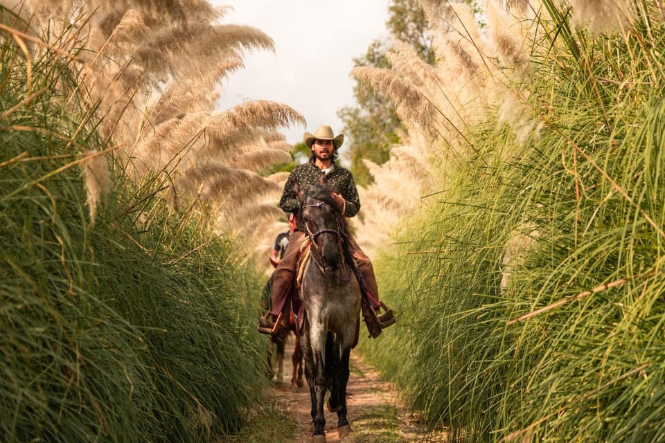 Off site, Day, People, Natural landscape, Horse-riding, Hiking, Animals, On site, Guests, Landmark view, Mountain view