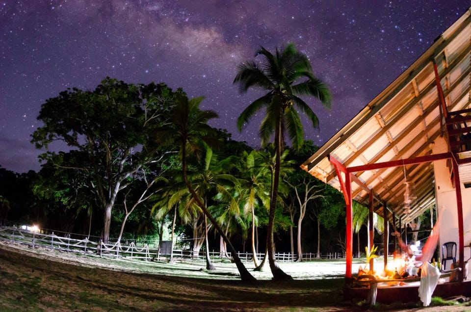Night, Garden