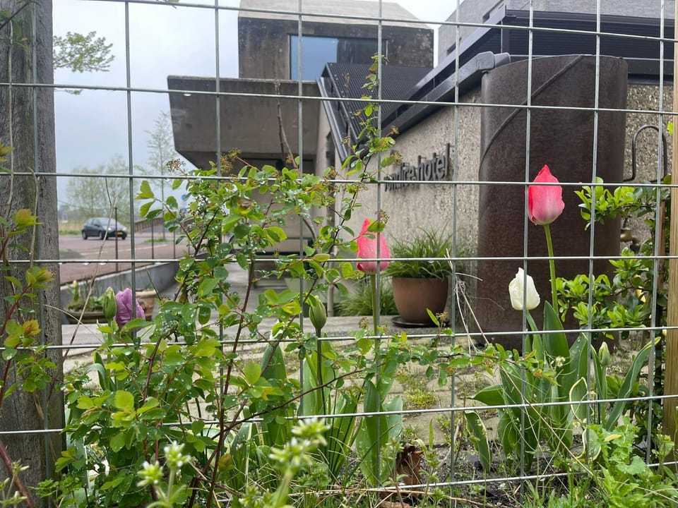 Property building, Garden, Balcony/Terrace