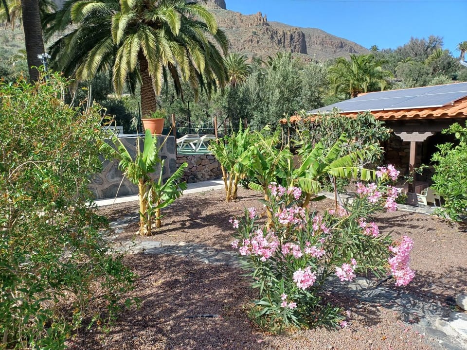 Las Palmeras House in Comarca Sur