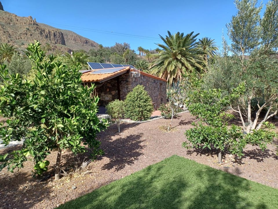 Las Palmeras House in Comarca Sur