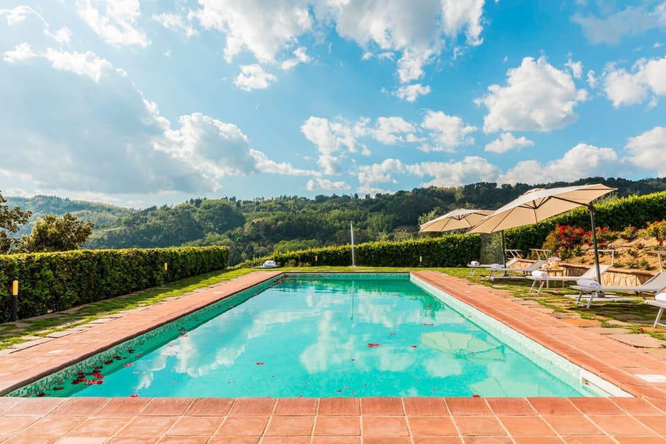 Day, Mountain view, Pool view, Swimming pool, sunbed