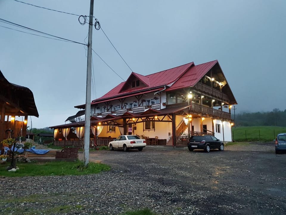 Pensiunea Arizona Bed and Breakfast in Romania