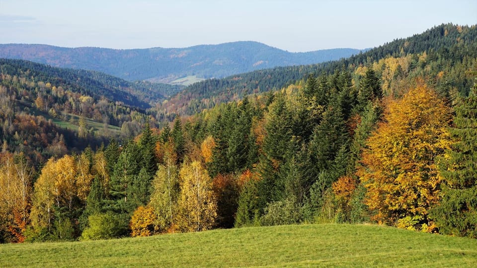 Autumn