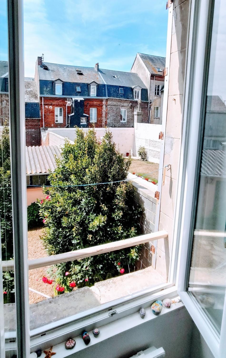 Garden view