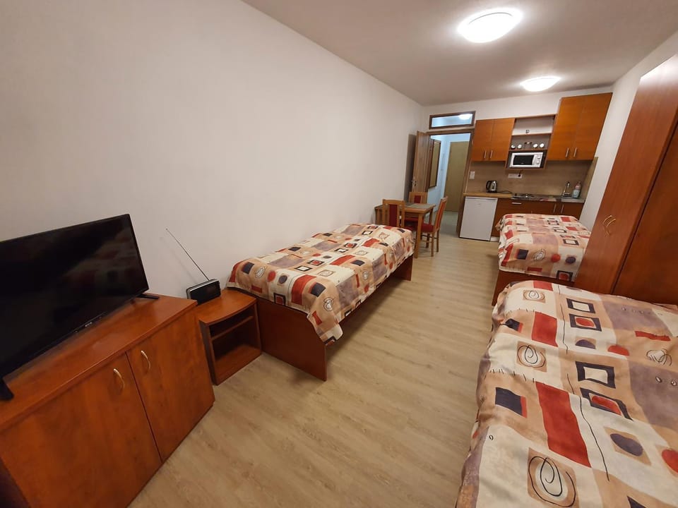 Penzion u Buba Apartment in Czechia