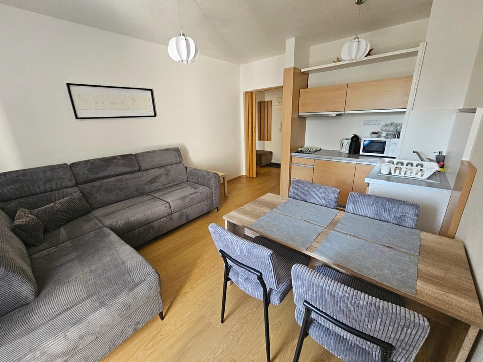 Kitchen or kitchenette, Living room, Seating area, Dining area, stove