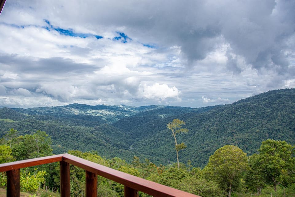 Natural landscape, View (from property/room), Balcony/Terrace