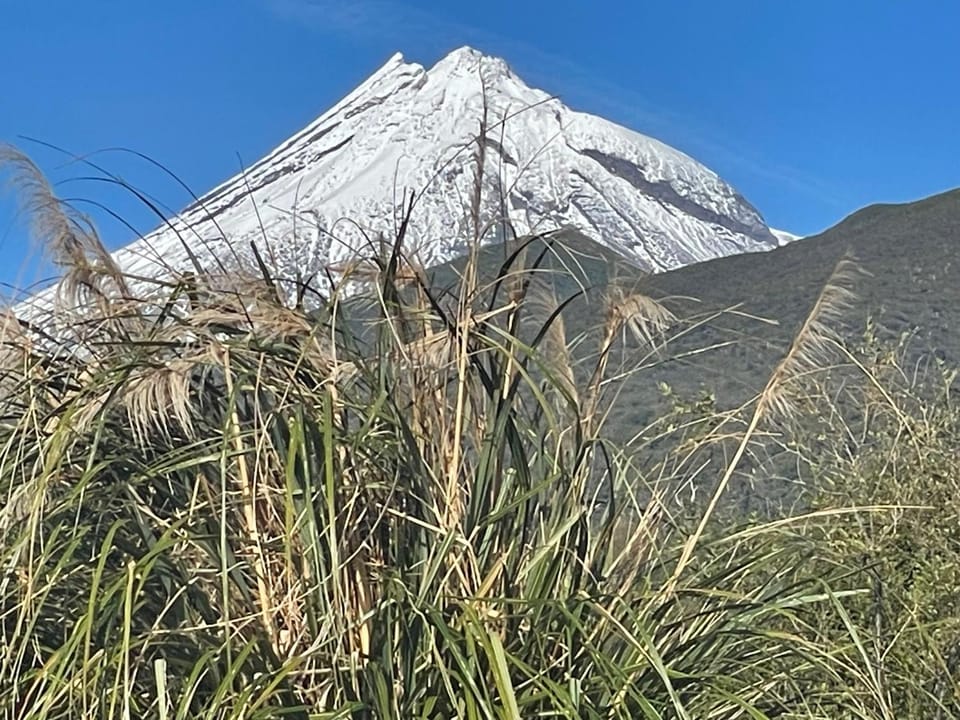 Mangorei Heights - New Plymouth Bed and Breakfast in Taranaki, New Zealand