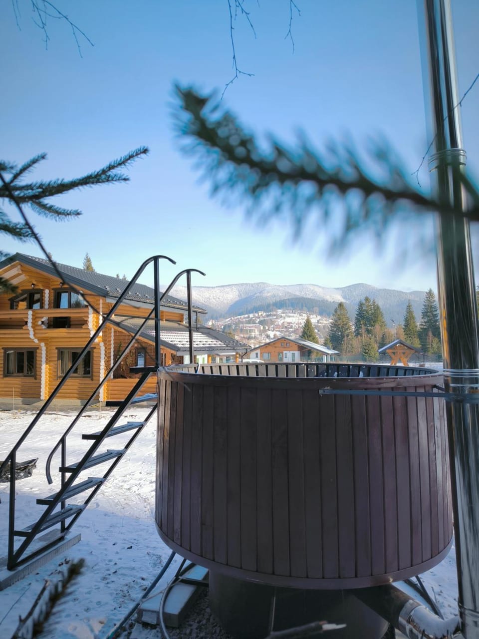 Шале Вілія Chalet in Ukraine