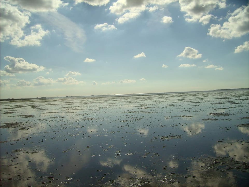 Haus Halligblick, Ferienwohnungen am Wattenmeer, Whg Oland Apartment in Dagebüll