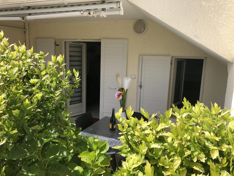 Day, Garden