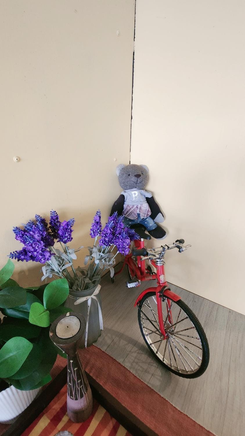 Stay if you wish Homestay Bed and Breakfast in Taiwan, Province of China