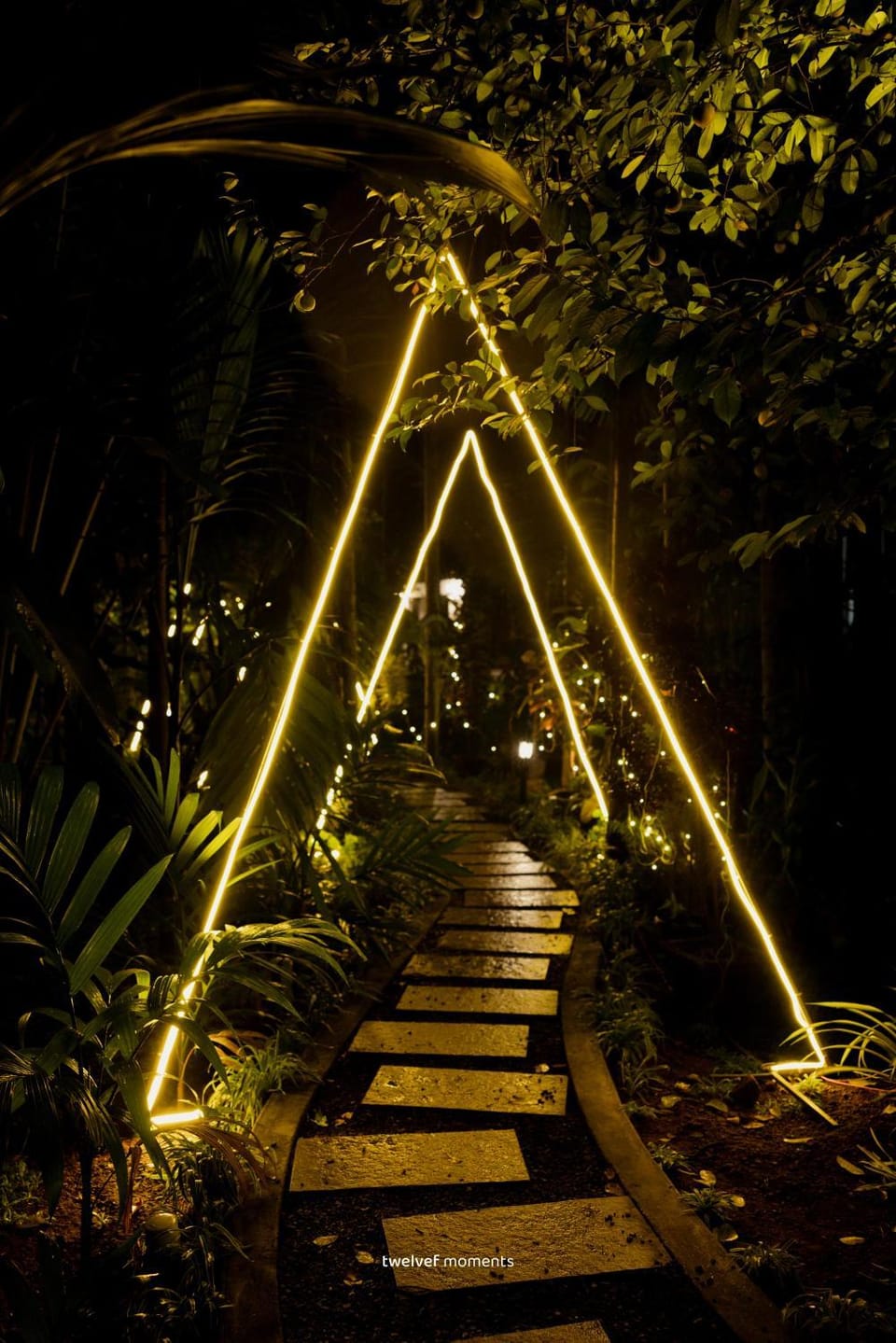 Night, Garden view