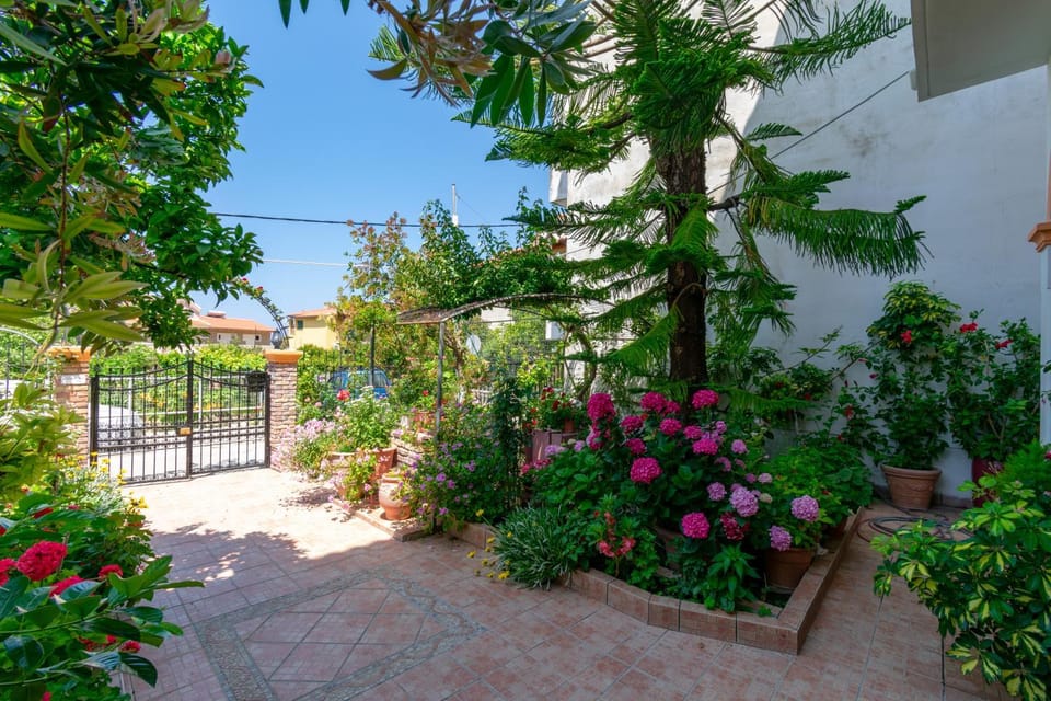 Garden, Garden view