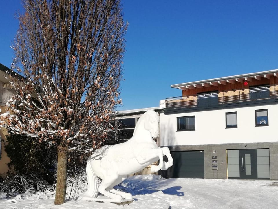 Ferienwohnung an der Reitanlage Apartment in Sächsische Schweiz-Osterzgebirge