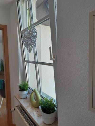 Ferienwohnung Salzmannhaus Apartment in Erzgebirgskreis
