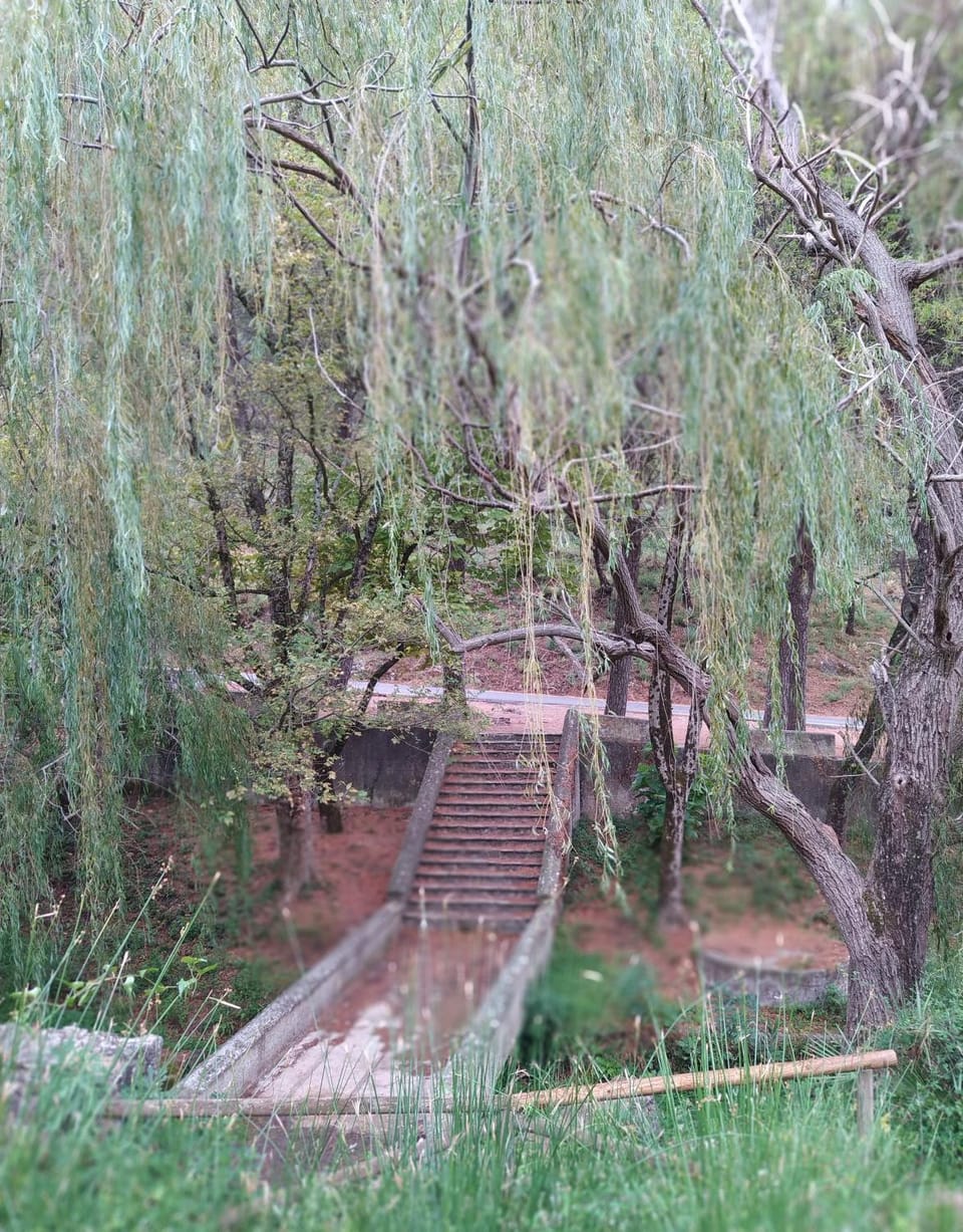 Property building, Natural landscape