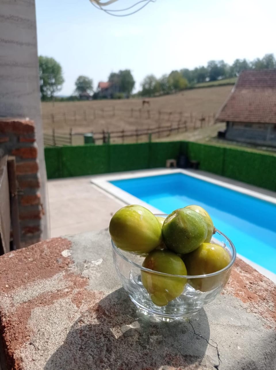 Pool view