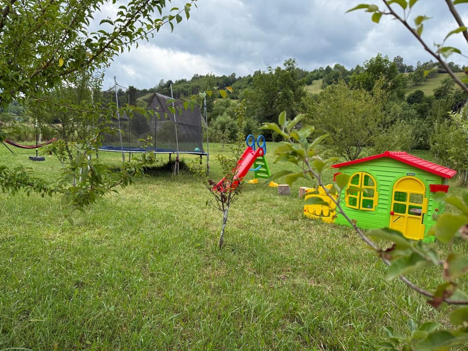 Spring, Natural landscape, Children play ground, Garden, Garden view