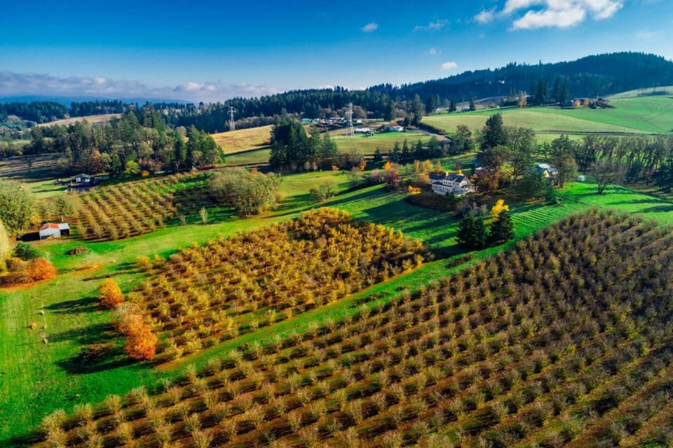 Skyview Villa House in Willamette Valley