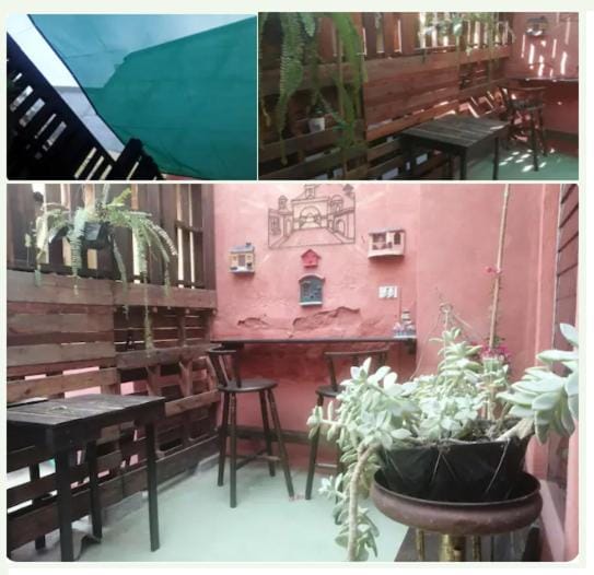 Patio, Garden