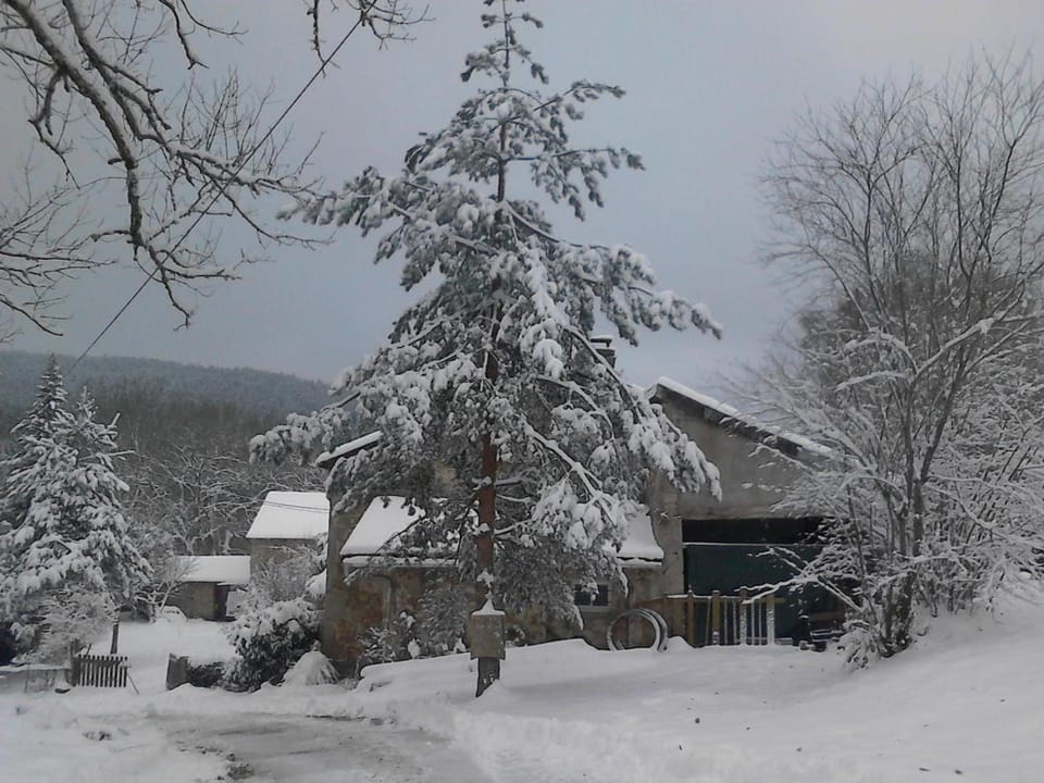 Charmant studio en montagne avec jardin, animaux admis - FR-1-496-224 Apartment in Auvergne-Rhône-Alpes