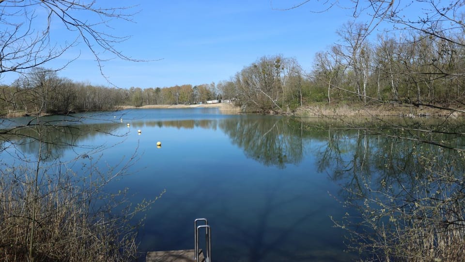 Lake view