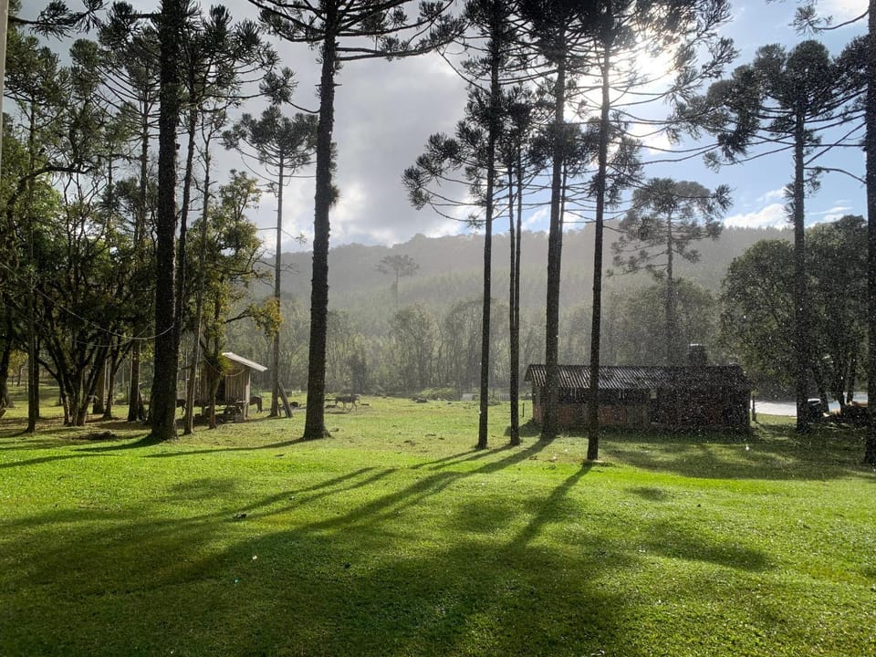 Casa de Campo #Rancho pela saco House in State of Santa Catarina
