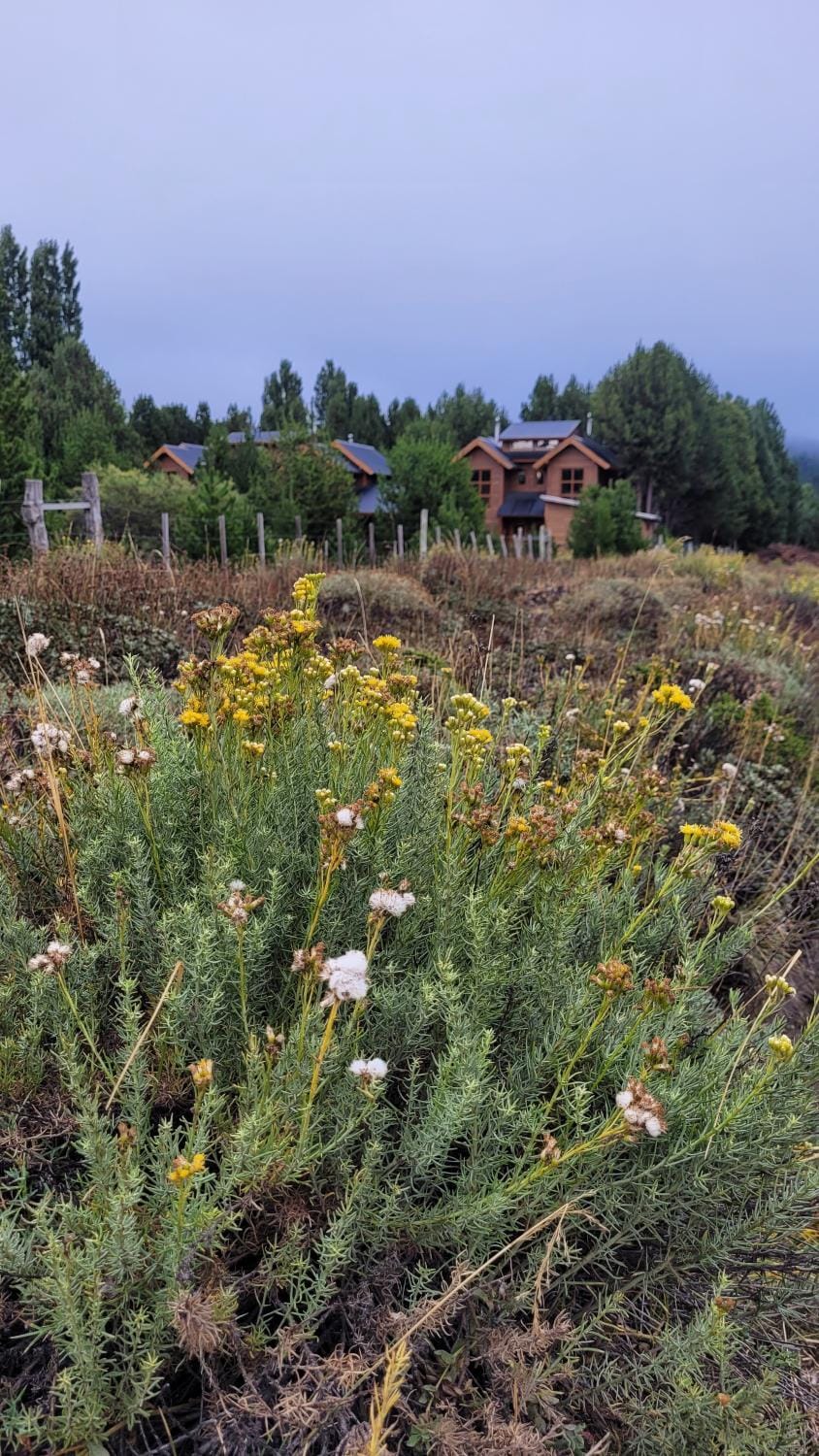 Cabañas El Montañes Chalet in Neuquén Province, Argentina