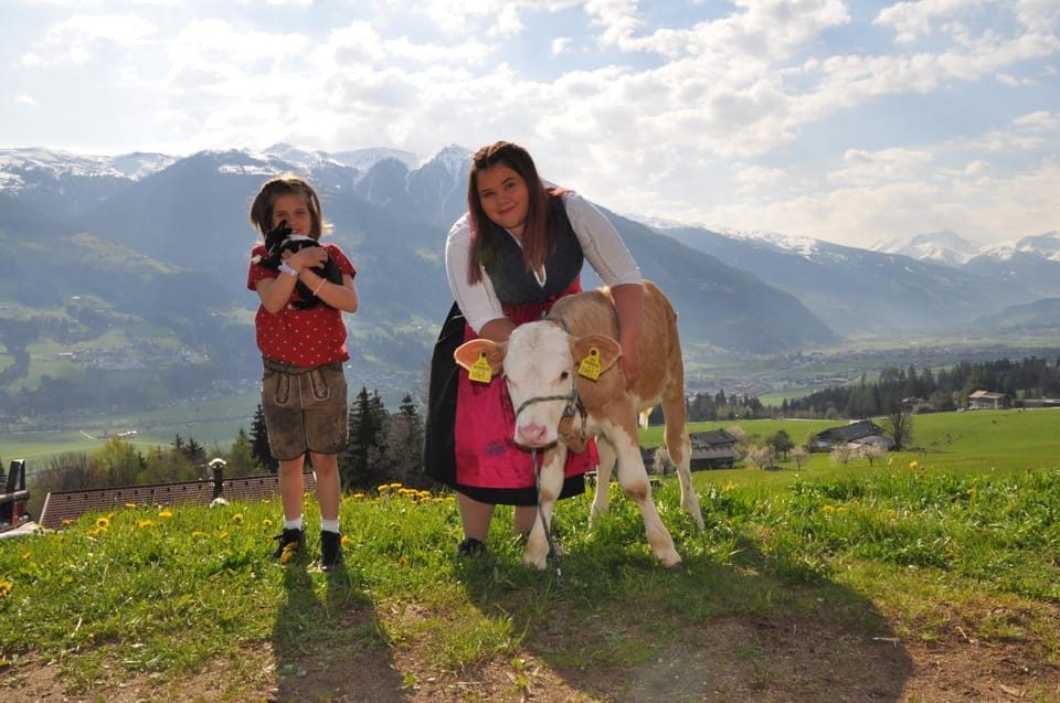 Ferienwohnung Staudach, Apartment Apartment in Tyrol