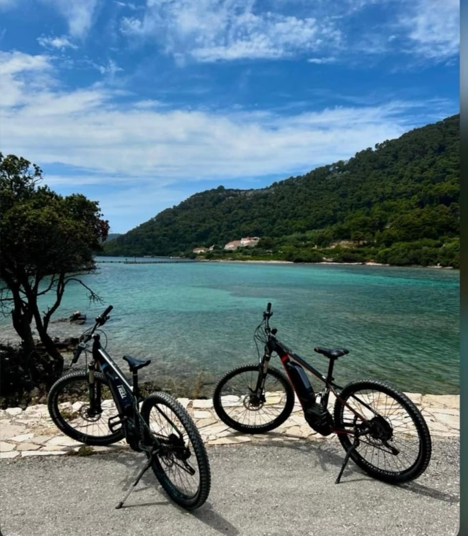 Izabela apartment with swimming pool Apartment in Dubrovnik-Neretva County