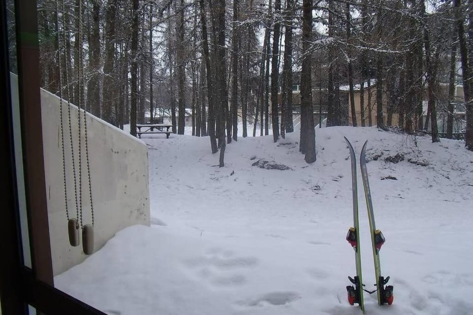 Patio, Natural landscape, Garden view