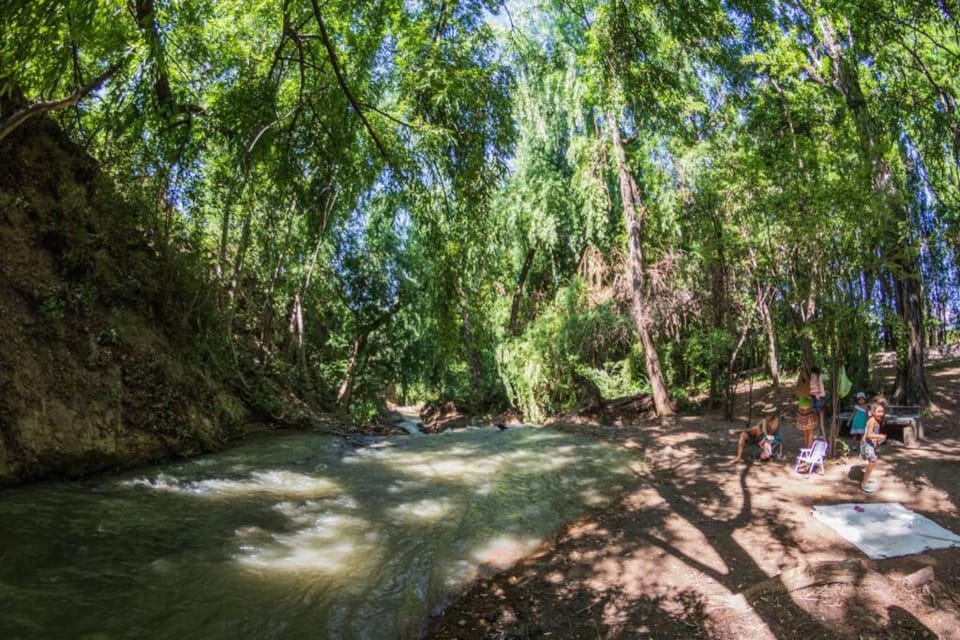 Day, Natural landscape, River view
