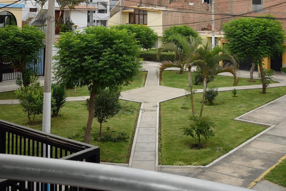 View (from property/room)