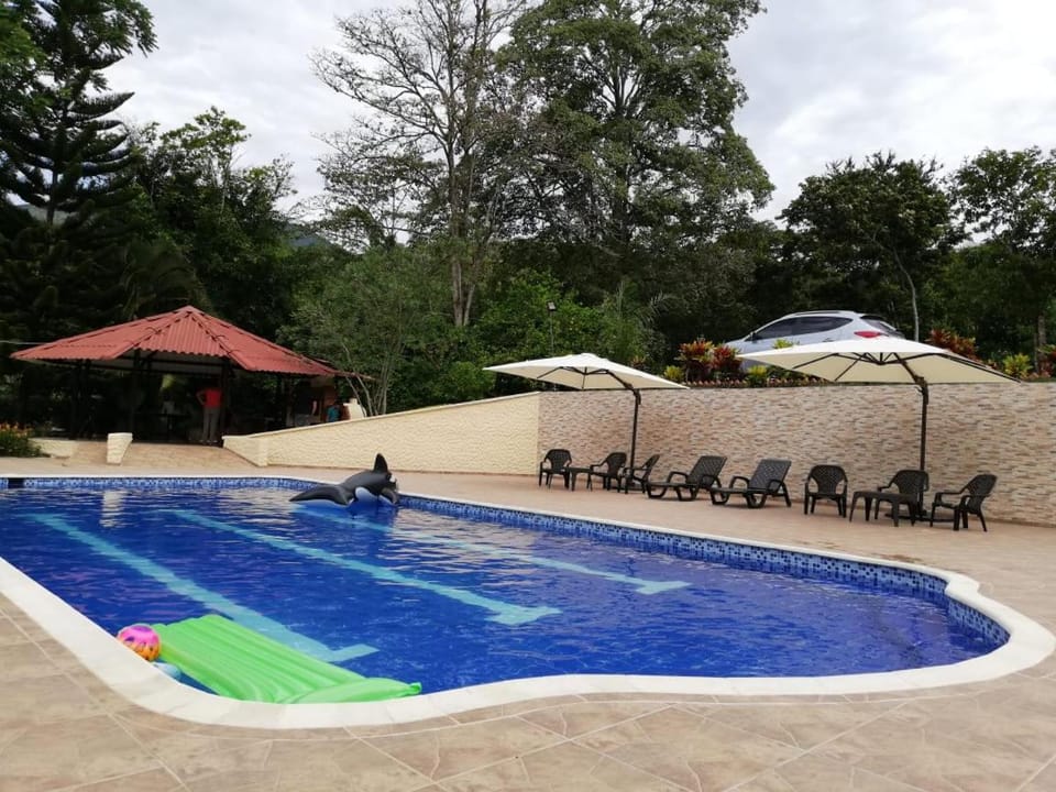 Swimming pool