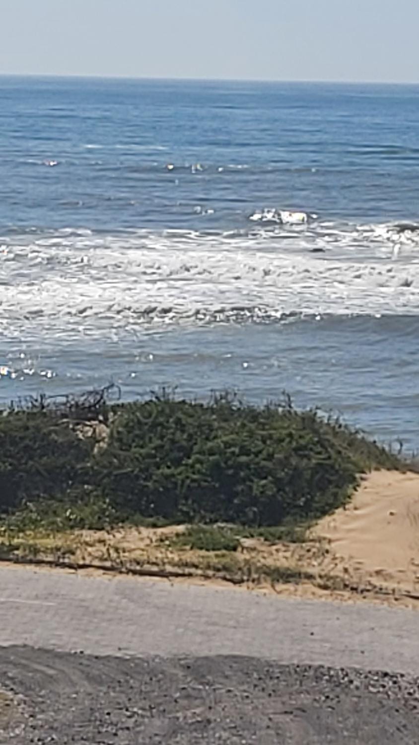 Beach, Windsurfing, Sea view