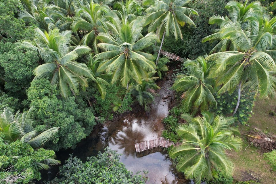Day, Natural landscape