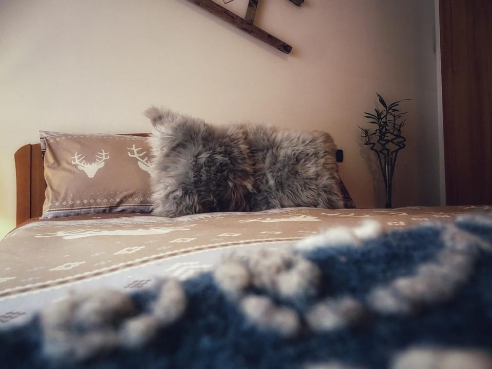 Casa Minela Apartment in Pie' Falcade