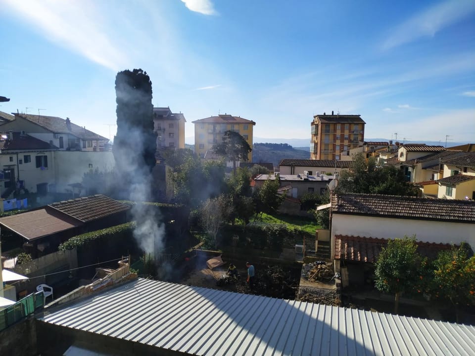 View (from property/room)