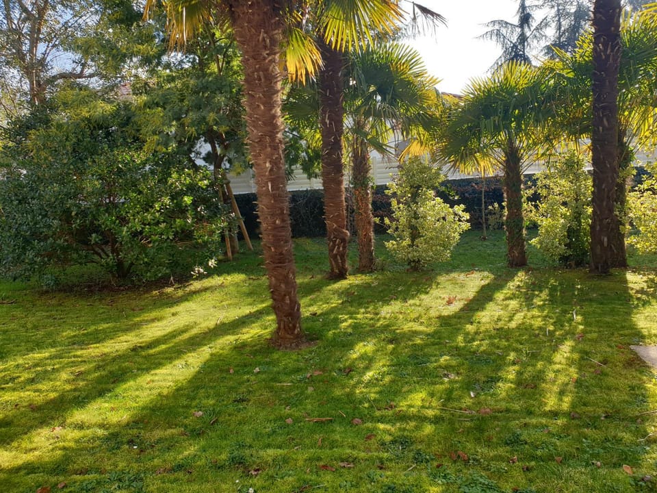 Spring, Day, Natural landscape, Garden, Garden view