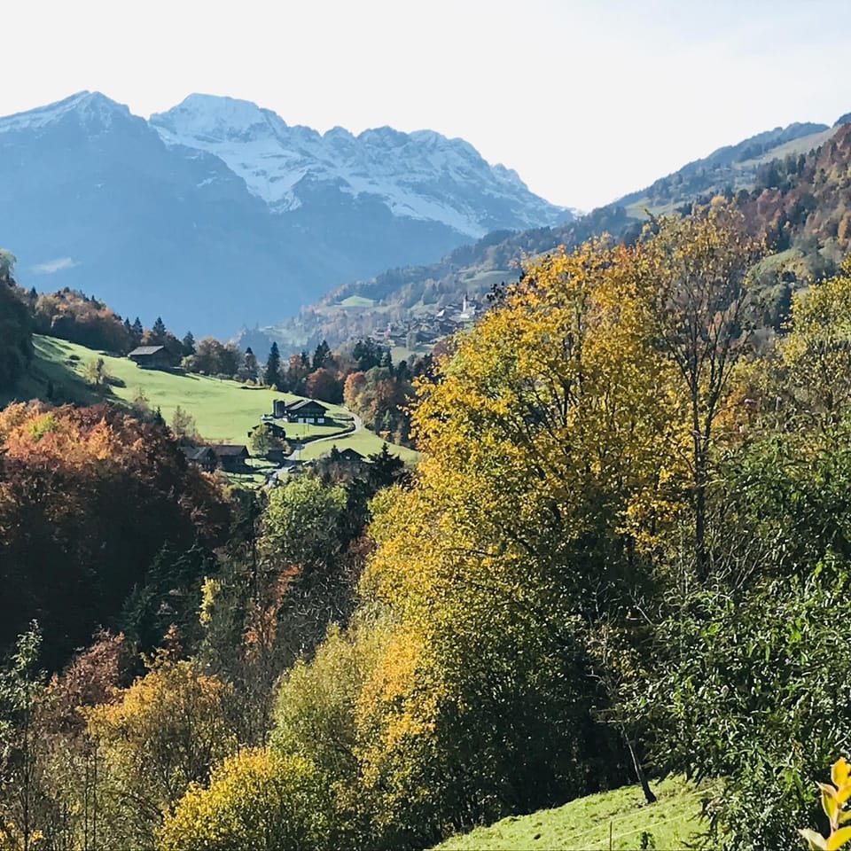 Mountain view