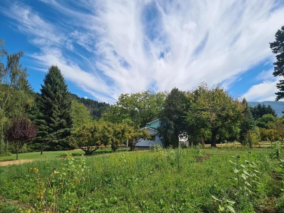 Natural landscape, Garden