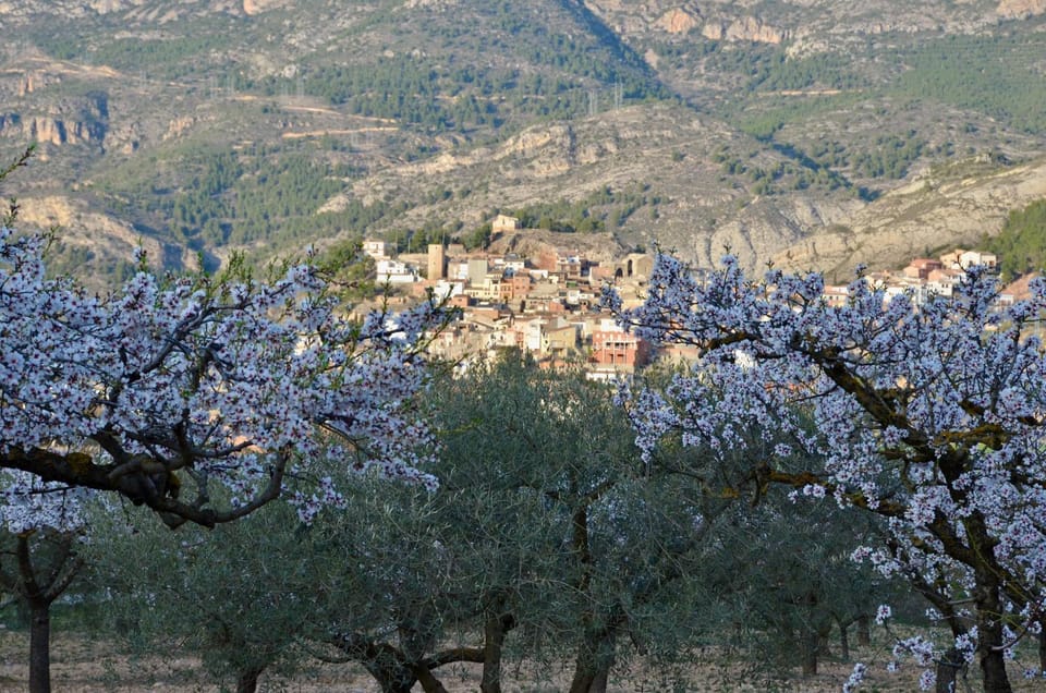 Natural landscape