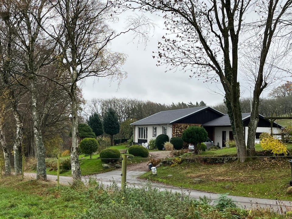 Property building, Garden view